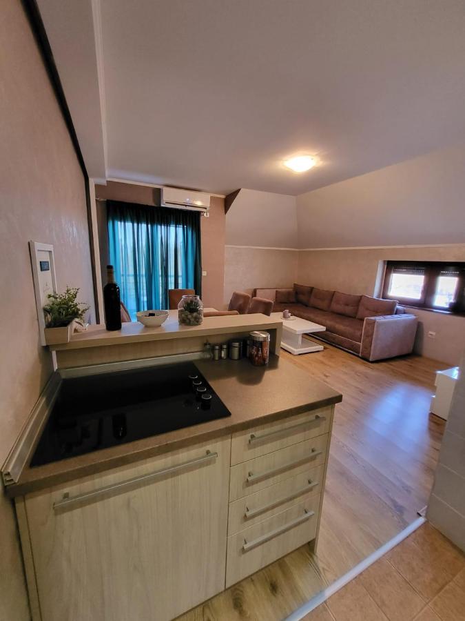 Apartman Crown Vrnjačka Banja 외부 사진