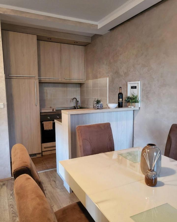 Apartman Crown Vrnjačka Banja 외부 사진