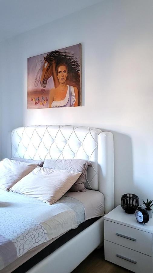 Apartman Crown Vrnjačka Banja 외부 사진