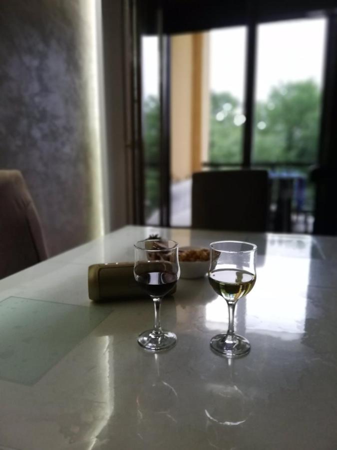 Apartman Crown Vrnjačka Banja 외부 사진